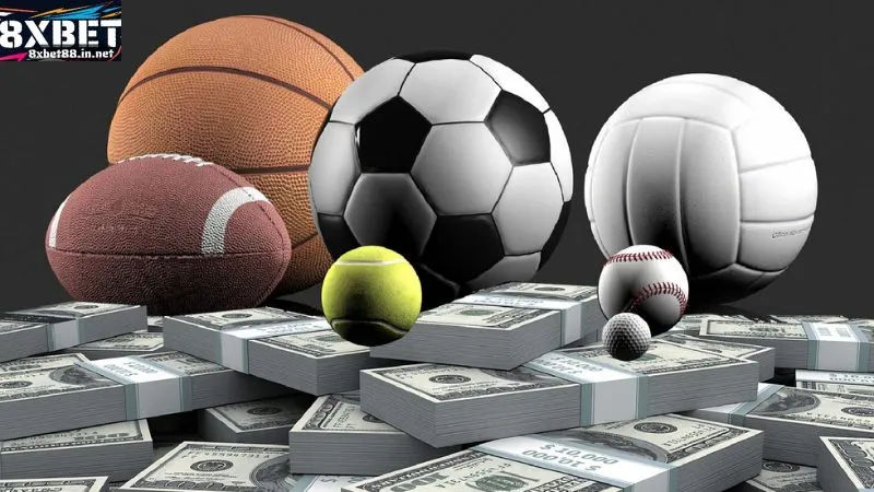 choi co trach nhiem giup tao moi truong 8xbet lanh manh choi co trach nhiem giup tao moi truong 8xbet lanh manh